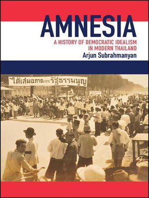 cover image of Amnesia